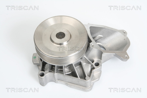 Pompa de apa TRISCAN 8600 17010