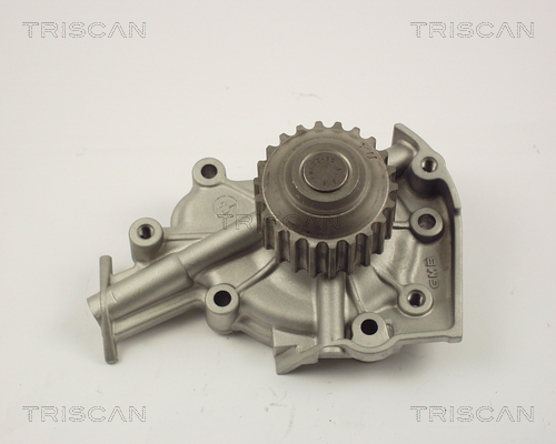 Pompa de apa TRISCAN 8600 21003