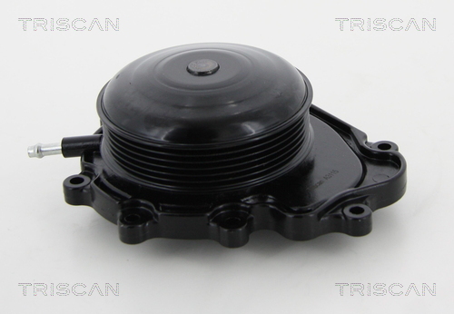 Pompa de apa TRISCAN 8600 23019