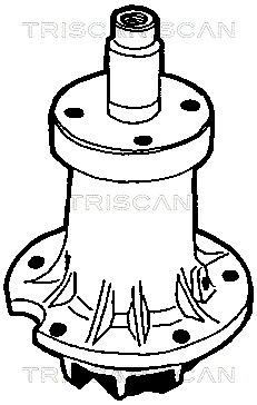 Pompa de apa TRISCAN 860023980