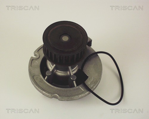 Pompa de apa TRISCAN 8600 24010
