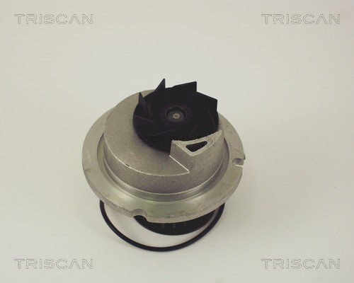 Pompa de apa TRISCAN 860024010