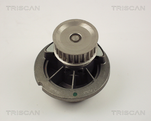 Pompa de apa TRISCAN 8600 24014