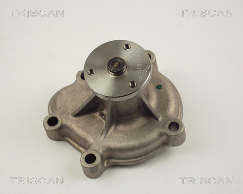 Pompa de apa TRISCAN 8600 24016