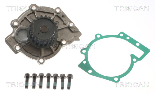 Pompa de apa TRISCAN 8600 27107