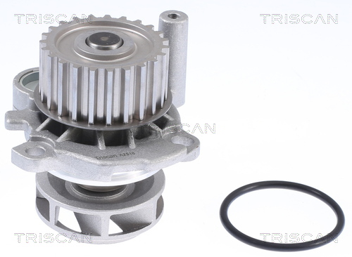 Pompa de apa TRISCAN 860029012