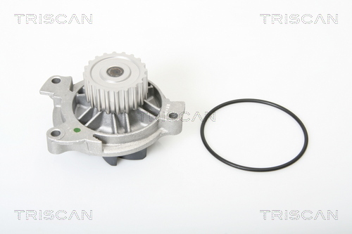 Pompa de apa TRISCAN 8600 29025