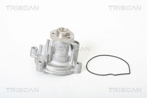 Pompa de apa TRISCAN 8600 29035