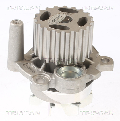 Pompa de apa TRISCAN 8600 29038