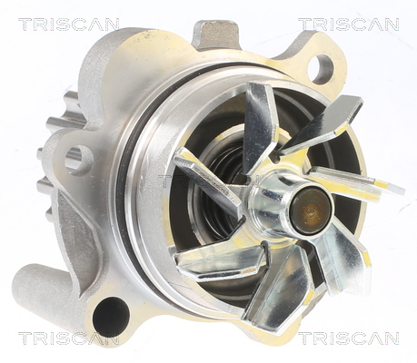 Pompa de apa TRISCAN 860029038