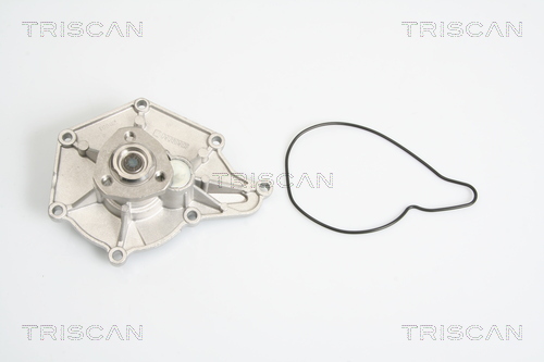 Pompa de apa TRISCAN 8600 29040