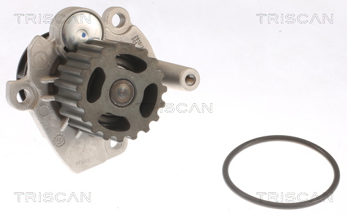 Pompa de apa TRISCAN 8600 29041