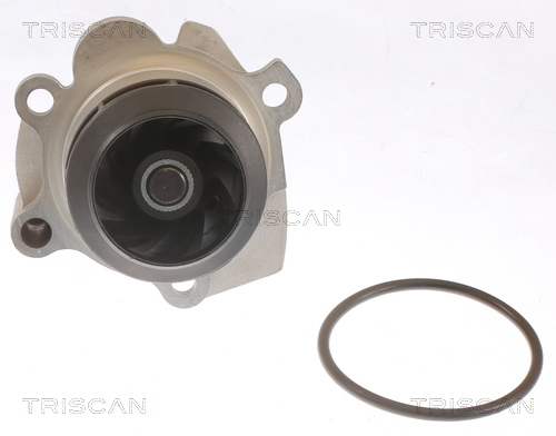 Pompa de apa TRISCAN 860029041