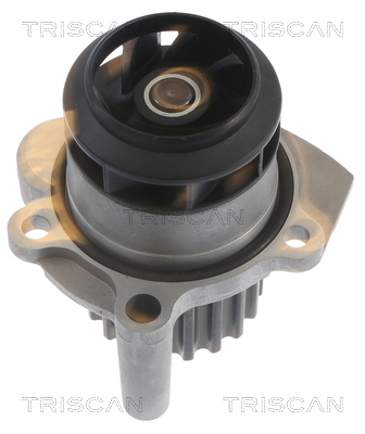 Pompa de apa TRISCAN 860029041