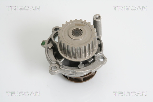 Pompa de apa TRISCAN 8600 29043