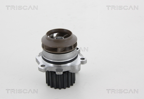 Pompa de apa TRISCAN 8600 29045