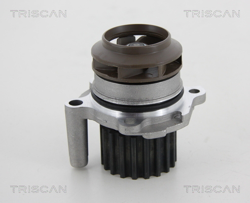 Pompa de apa TRISCAN 860029045
