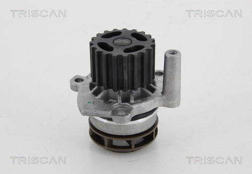 Pompa de apa TRISCAN 8600 29048