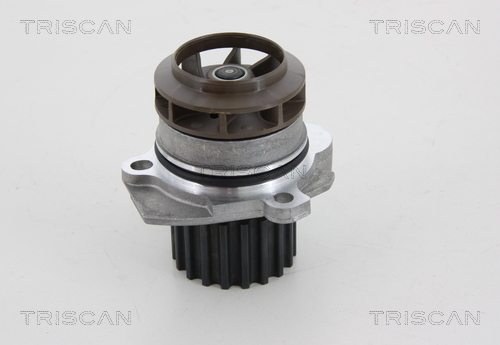 Pompa de apa TRISCAN 860029048