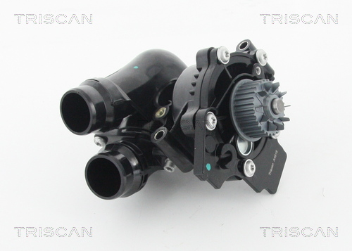 Pompa de apa TRISCAN 8600 29057H