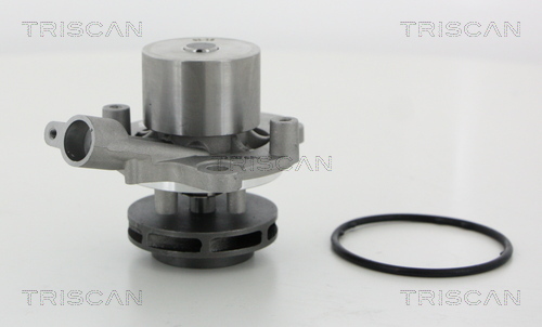 Pompa de apa TRISCAN 8600 29065