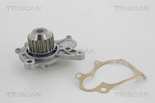 Pompa de apa TRISCAN 8600 43011