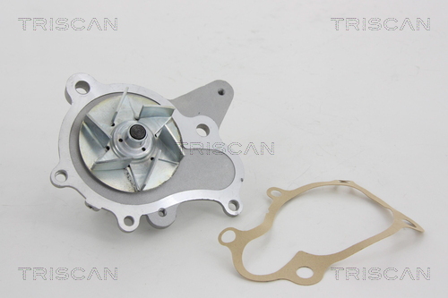 Pompa de apa TRISCAN 860043011
