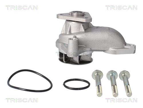 Pompa de apa TRISCAN 8600 43013