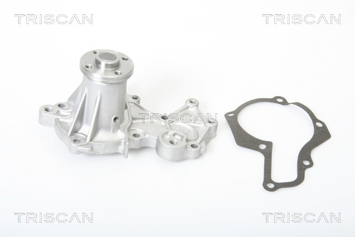 Pompa de apa TRISCAN 8600 69005