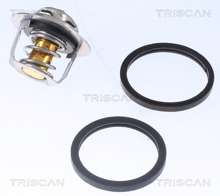 Termostat lichid racire TRISCAN 8620 18782