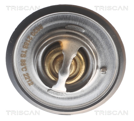 Termostat lichid racire TRISCAN 86202188
