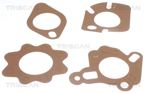 Termostat lichid racire TRISCAN 86202188
