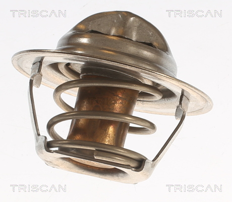Termostat lichid racire TRISCAN 86203982