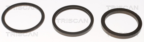 Termostat lichid racire TRISCAN 86203982