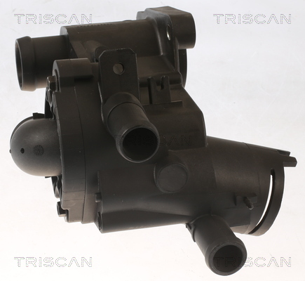 Termostat lichid racire TRISCAN 862051787