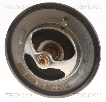 Termostat lichid racire TRISCAN 86208088