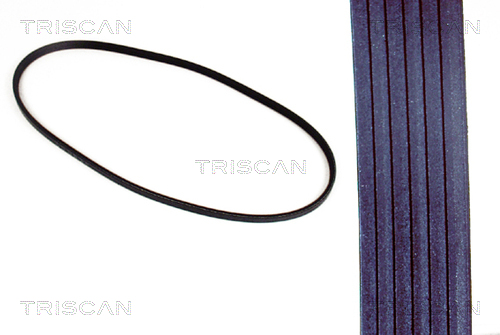 Curea transmisie TRISCAN 8640 110650
