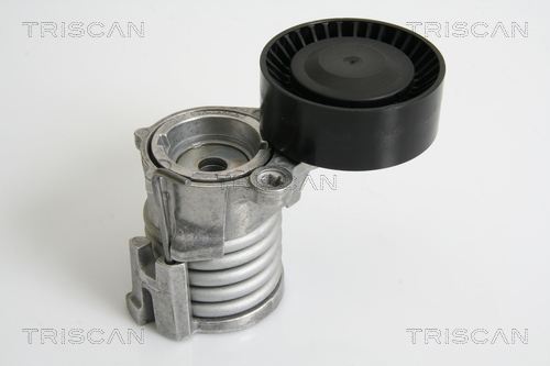 Intinzator curea transmisie TRISCAN 8641293025