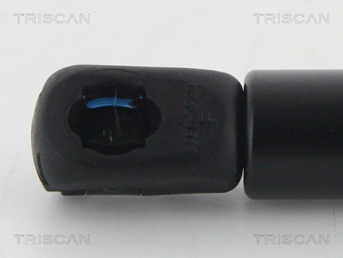 Amortizor capota TRISCAN 871011132