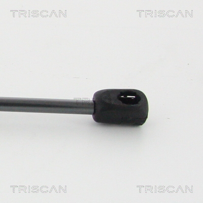 Amortizor capota TRISCAN 871011132