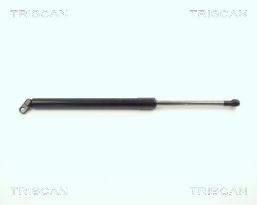 Amortizor portbagaj TRISCAN 871011209