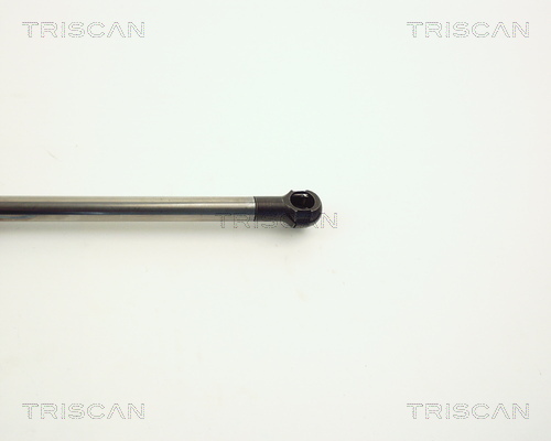 Amortizor portbagaj TRISCAN 871011209