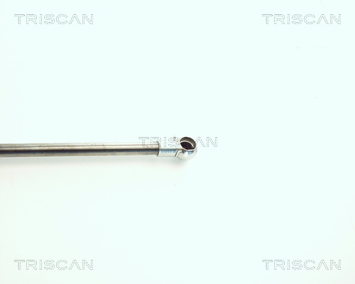 Amortizor portbagaj TRISCAN 871011216