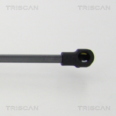 Amortizor portbagaj TRISCAN 871011241