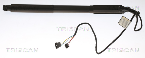 Amortizor portbagaj TRISCAN 871011303