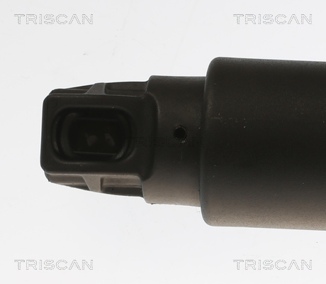 Amortizor portbagaj TRISCAN 871011303