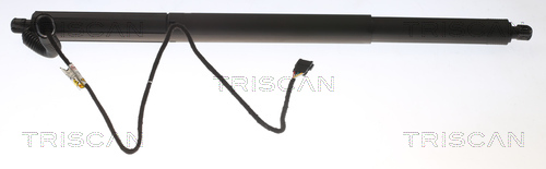 Amortizor portbagaj TRISCAN 871011305