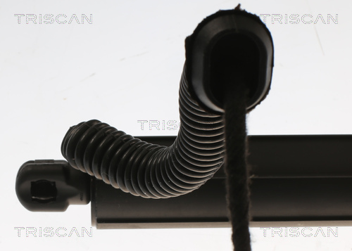 Amortizor portbagaj TRISCAN 871011305
