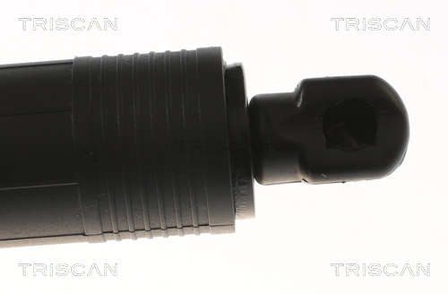 Amortizor portbagaj TRISCAN 871011305