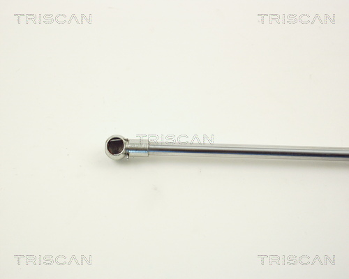 Amortizor capota TRISCAN 871012102